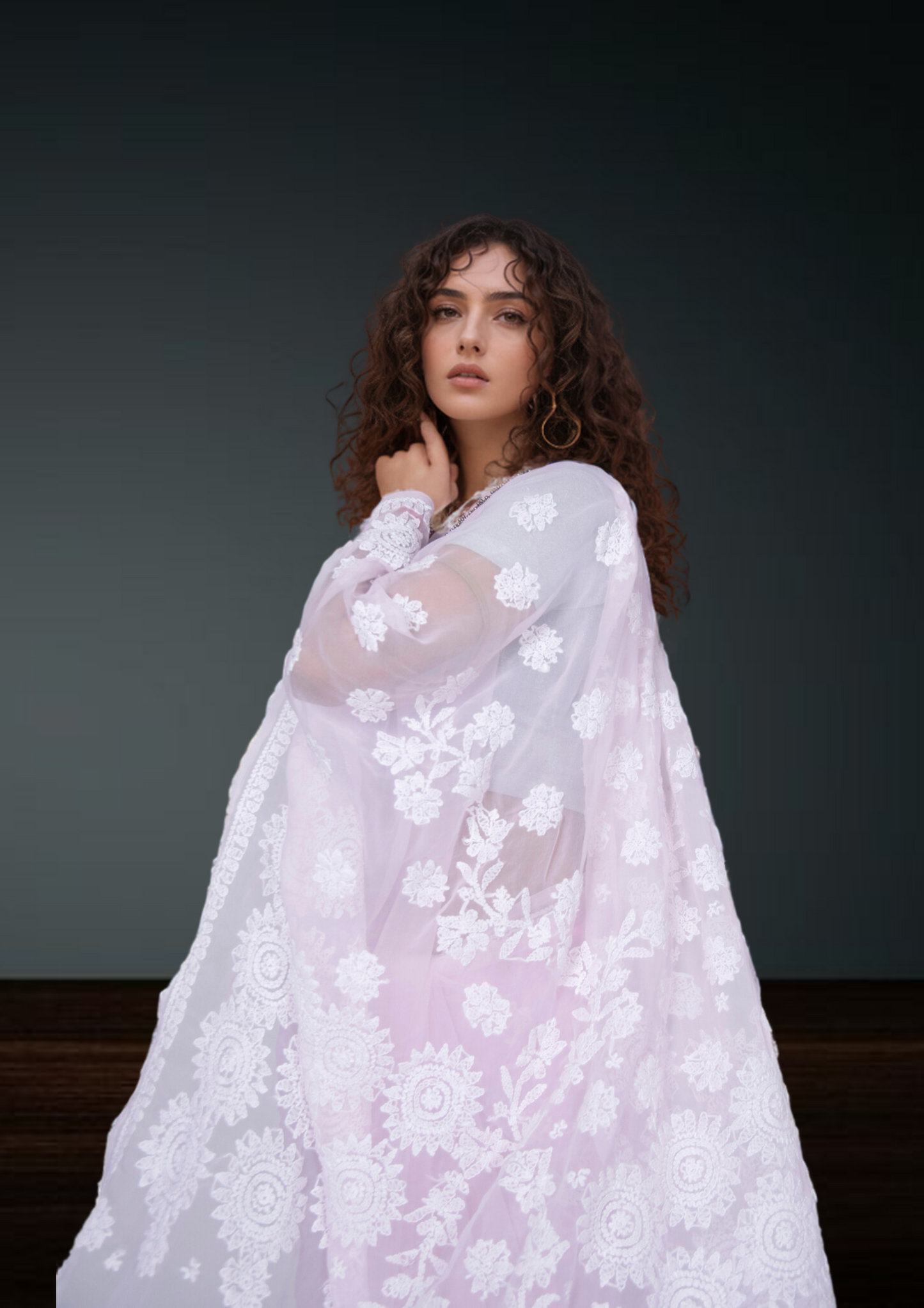 Pinaka - Fine Georgette Chikankari Sari