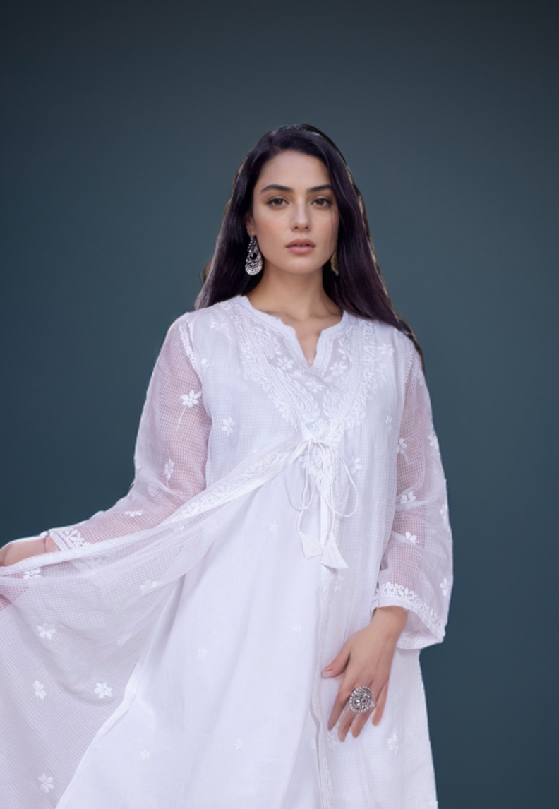 Anvi Collection