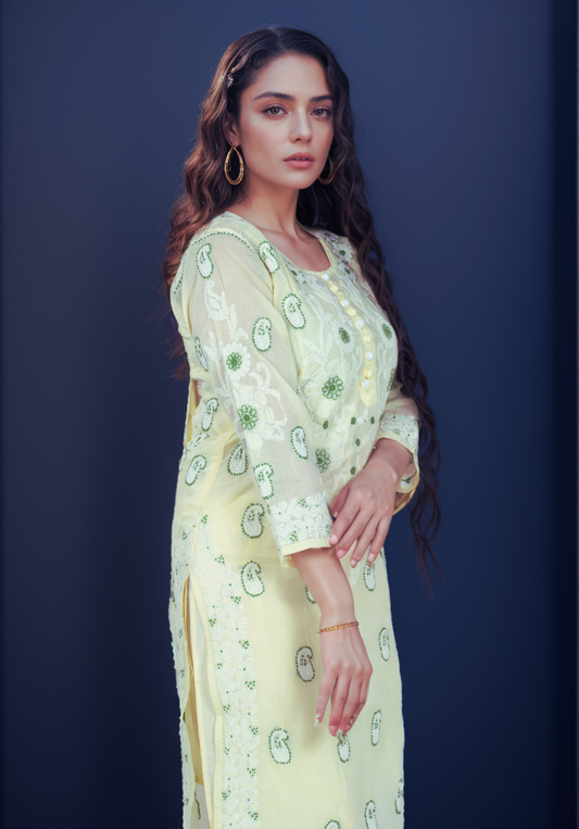 RAYA Collection - Chikankari Kurta