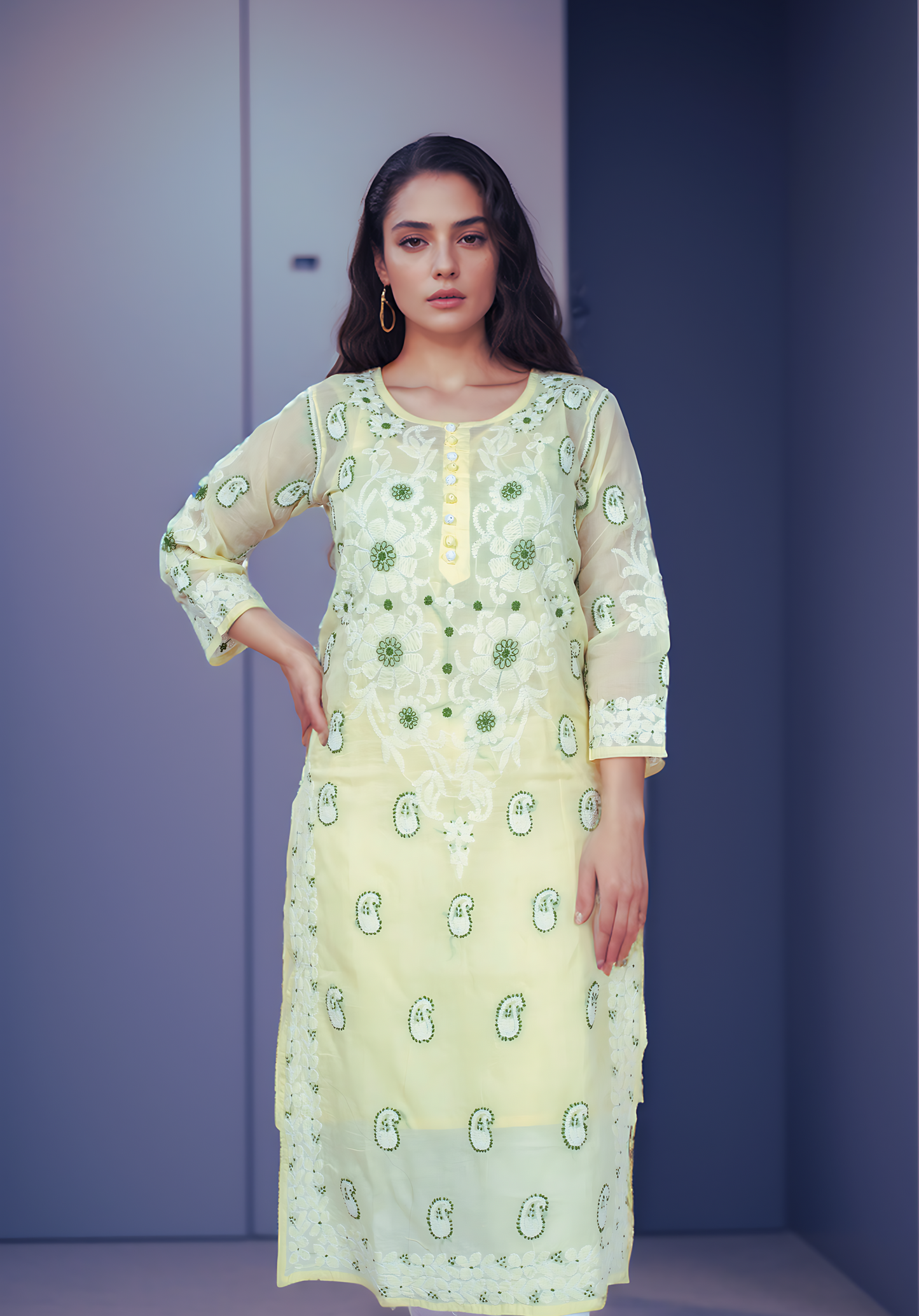 RAYA Collection - Chikankari Kurta